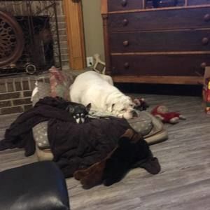 Meet your Posher, Ellen